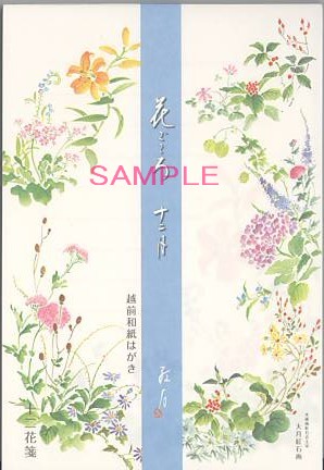 はがき箋「花ごころ12月」（12柄12枚入）