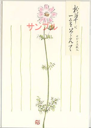 花はがき「こすもす」（3枚入）