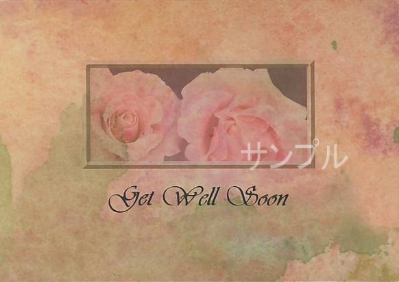Get Well Roses