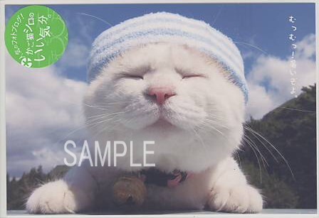 かご猫シロ・ポストカード「ヘアバンド」