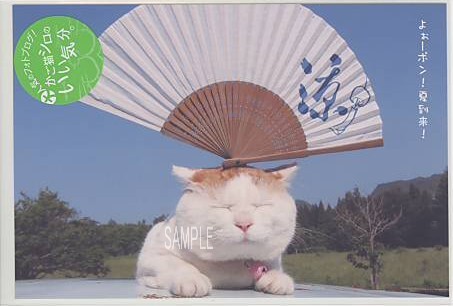 かご猫シロ・ポストカード「扇子」