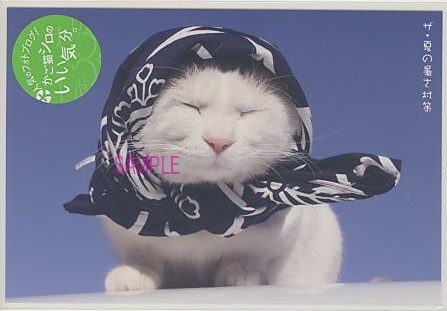 かご猫シロ・ポストカード「てぬぐい」