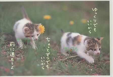 猫・ポストカード「ゆっくりでもいいから」