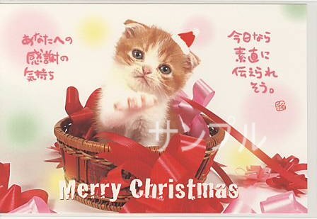 猫・ポストカード「あなたへの感謝の気持ち」