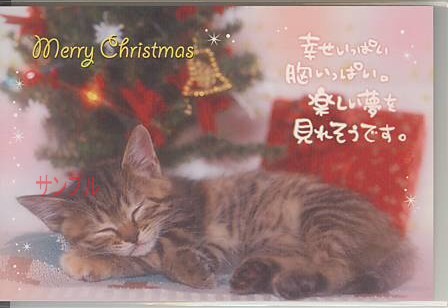 猫・ポストカード「幸せいっぱい」
