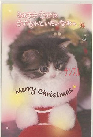 猫・ポストカード「このまま幸せに」