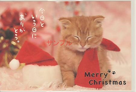 猫・ポストカード「ありがとう」