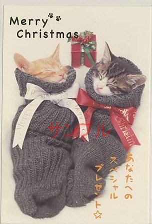 猫・ポストカード「スペシャルプレゼント☆」