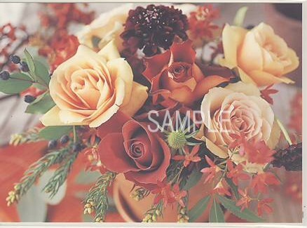 花・ポストカード「赤黄バラ等」