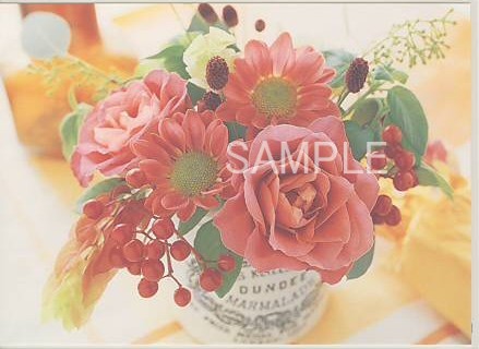 花・ポストカード「赤バラ等」