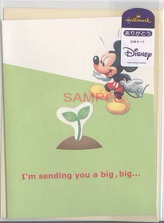 感謝「ディズニー・ラメ・花」