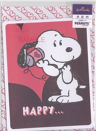 多目的（S/N）「糸電話」