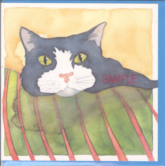square card-猫(William)