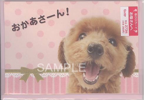 母の日（元気が出るよ）