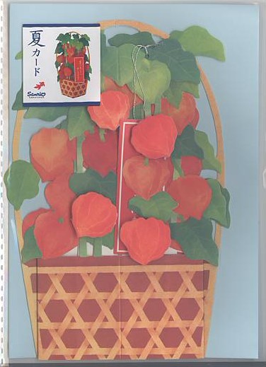 暑中・残暑見舞「ホオズキ」