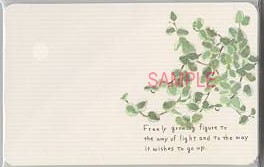 namiメッセージカード「Freely growing」