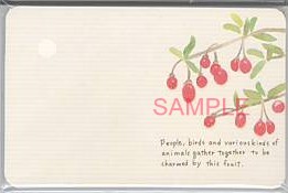 namiメッセージカード「this fruit」