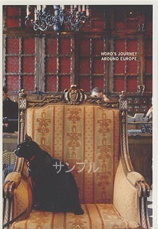 旅猫ノロ・ポストカード「シリア」