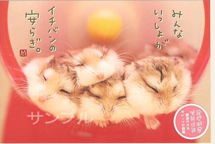 動物・ポストカード「ハムスター」