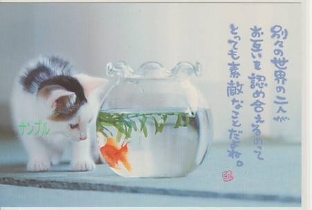 猫・ポストカード「別々の世界の二人が」