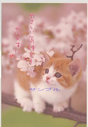 猫・ポストカード「やさしい気持ちを」