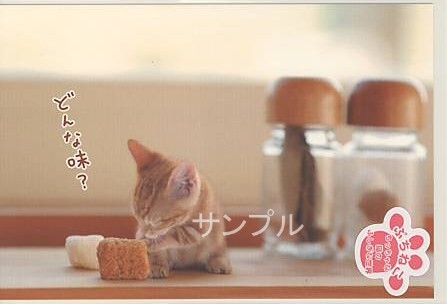 ぷちねこ・ポストカード「どんな味？」
