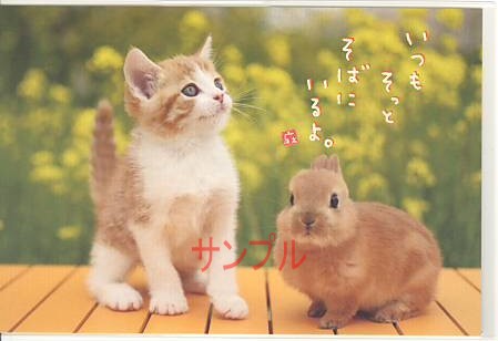 猫・ポストカード「そっとそばに」