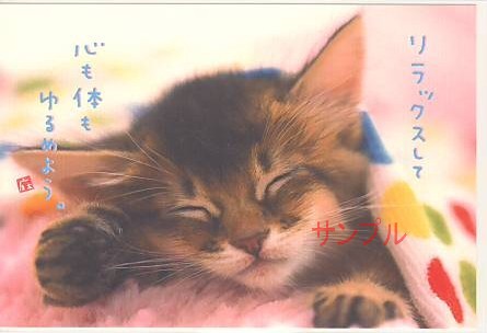 猫・ポストカード「リラックスして」