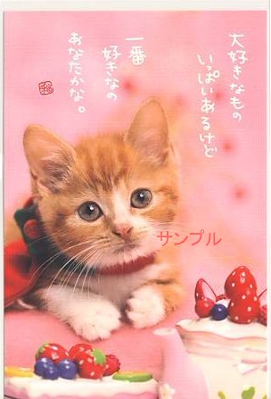 猫・ポストカード「一番好きなの」