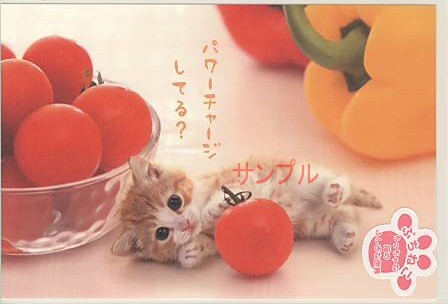 ぷちねこ・ポストカード「パワーチャージ」