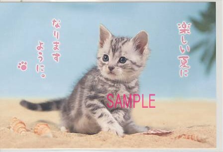 猫・ポストカード「楽しい夏に」