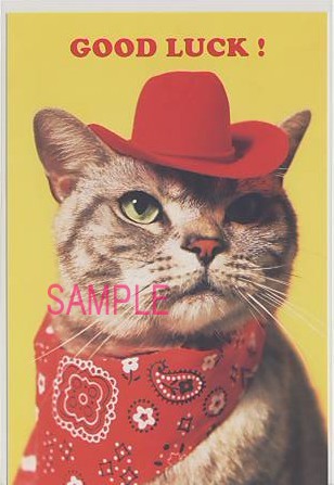 猫・ポストカード「GOOD LUCK!」