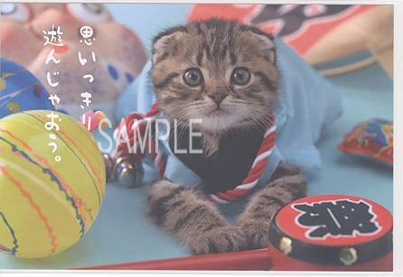 猫・ポストカード「遊んじゃおう」
