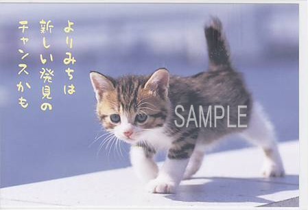 猫・ポストカード「よりみち」