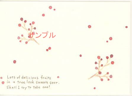 nami nami・ポストカード「fruits」