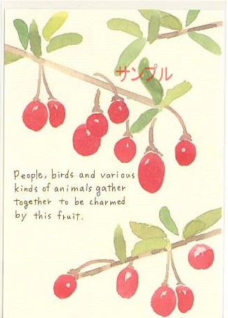 nami nami・ポストカード「gather together」