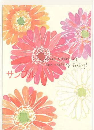 nami nami・ポストカード「What a …」