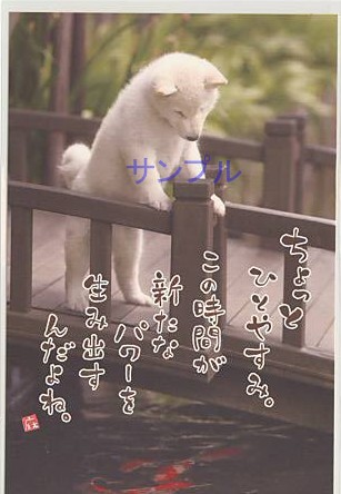 犬・ポストカード「ちょっとひとやすみ。」