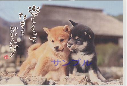 犬・ポストカード「楽しくって」