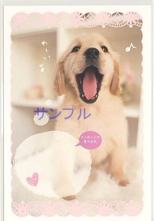 犬・ポストカード「わーい」（メッセージ欄付）