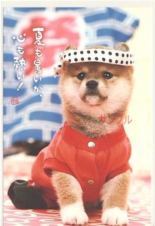 犬・ポストカード「心も熱い！」