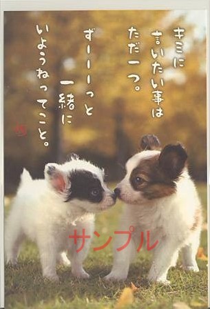 犬・ポストカード「一緒にいようね」