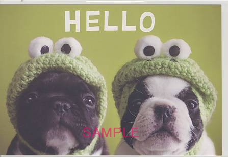 犬・ポストカード「HELLO」