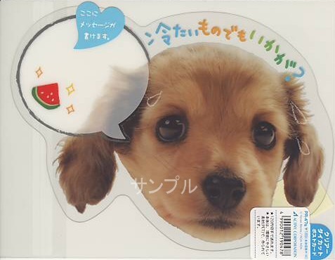 犬・ダイカットPETポストカード「冷たいものでもいかが？」