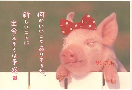 MOMO・ポストカード「何かいいこと」