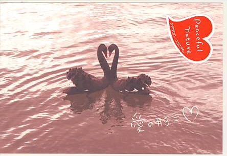 Peaceful・ポストカード「愛の形」