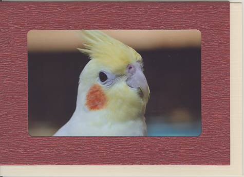 和調フォトフレームカード（あずき）